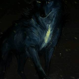 Black wolf phone wallpaper