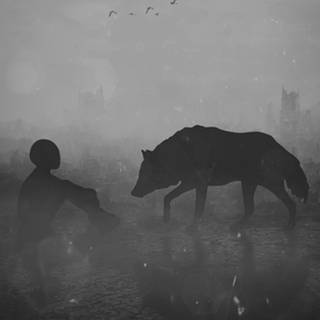 4k black wolf wallpaper