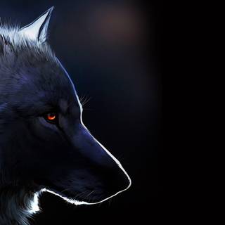 4k black wolf wallpaper