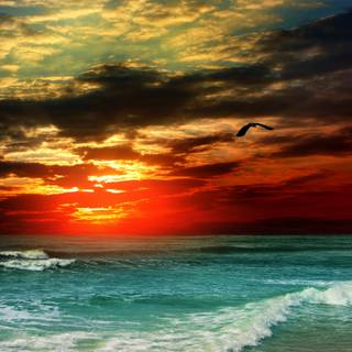 Ocean sunset 4k wallpaper