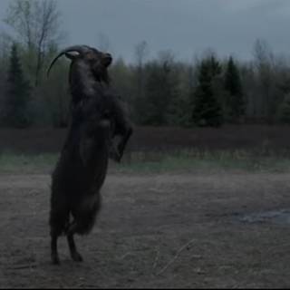 The VVitch wallpaper