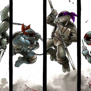 TMNT Raphael wallpaper