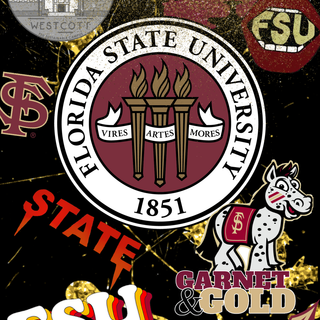 Florida State Seminoles iPhone wallpaper