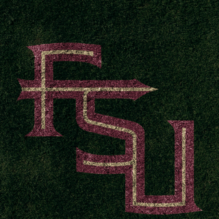 Florida State Seminoles iPhone wallpaper