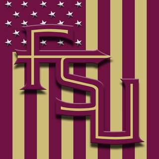 Florida State Seminoles iPhone wallpaper