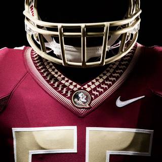 Florida State Seminoles iPhone wallpaper