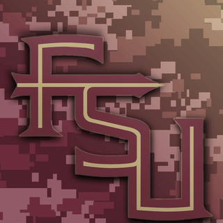 Florida State Seminoles iPhone wallpaper