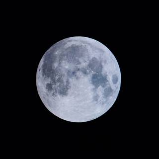 Moon portrait wallpaper