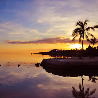 4k Florida wallpaper