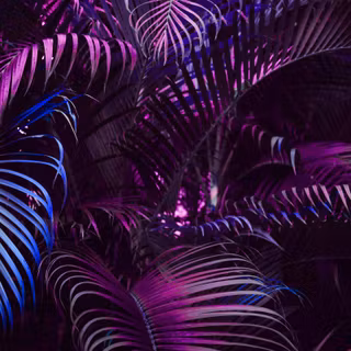 Purple dark 4k wallpaper