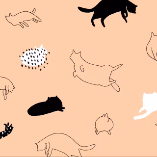 Minimalist cat wallpaper