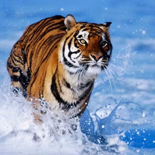 Inside water wallpaper