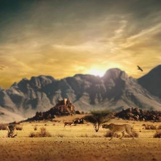 Spaghetti Western wallpaper