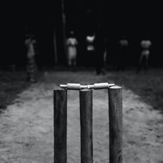 Cricket black wallpaper