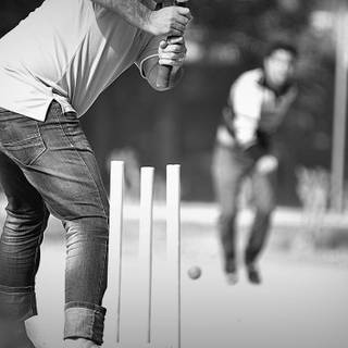 Cricket black wallpaper