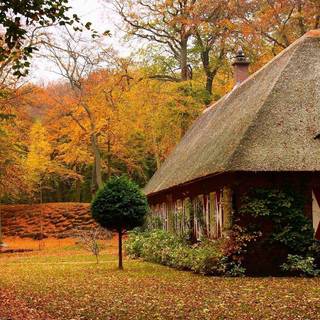 Fall house wallpaper