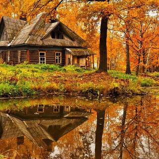 Fall house wallpaper