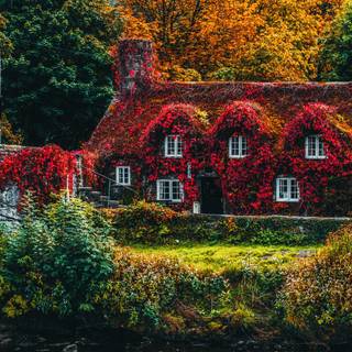 Fall house wallpaper