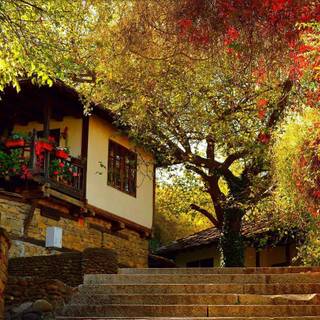 Fall house wallpaper