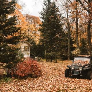 Fall house wallpaper