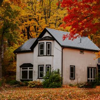 Fall house wallpaper