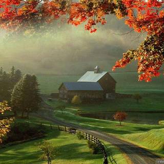 Fall house wallpaper