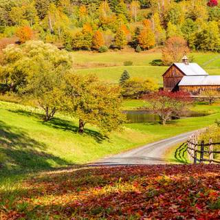 Fall house wallpaper