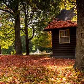 Fall house wallpaper