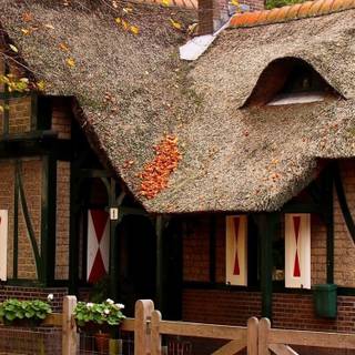 Fall house wallpaper