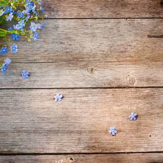 Table desktop wallpaper