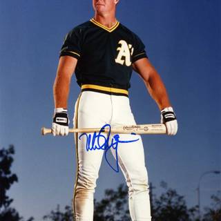 Mark McGwire wallpaper