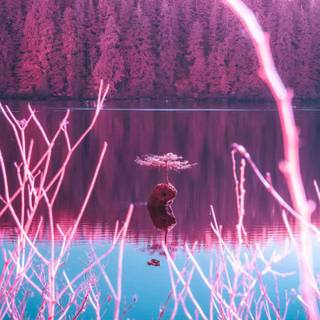 4k pink iPhone wallpaper