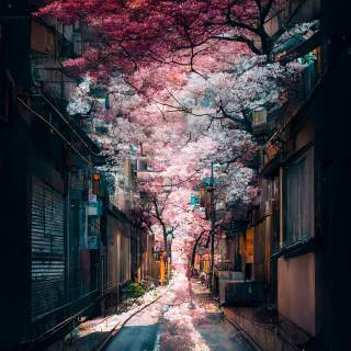 Japanese phone 4k wallpaper