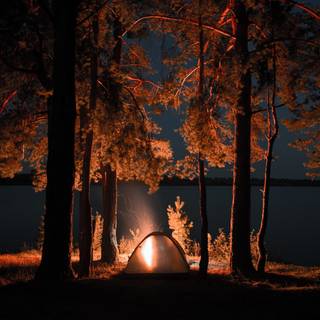 Campfire 4k wallpaper