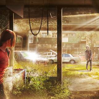 The Last of Us PC 4k wallpaper