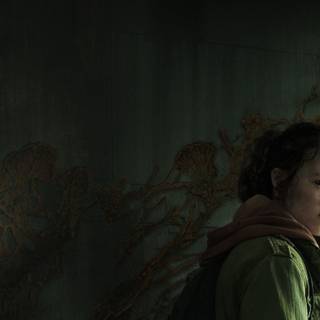 The Last of Us PC 4k wallpaper