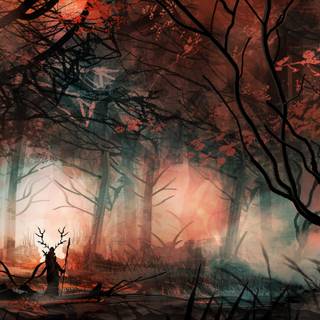 Forests 4k wallpaper