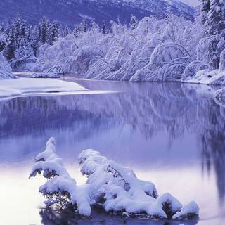 Snow river wallpaper