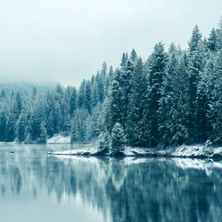 Snow river wallpaper