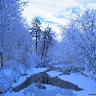 Snow river wallpaper