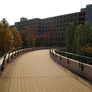 Tokyo University wallpaper