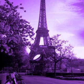 Purple Paris wallpaper