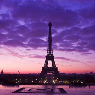 Purple Paris wallpaper
