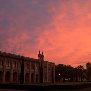 Rice University wallpaper