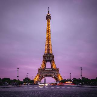 Purple Paris wallpaper