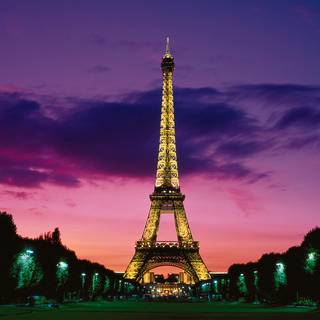 Purple Paris wallpaper