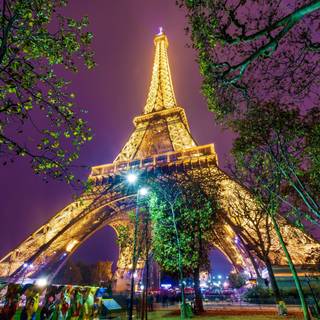 Purple Paris wallpaper