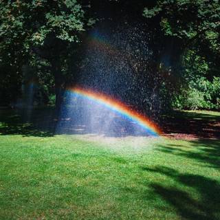 Real rainbow wallpaper