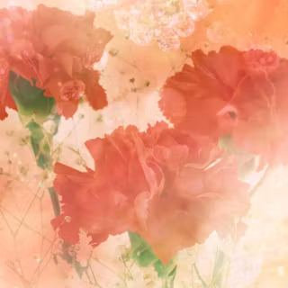 Pastel red desktop wallpaper
