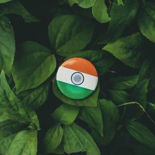 Indian flag computer wallpaper